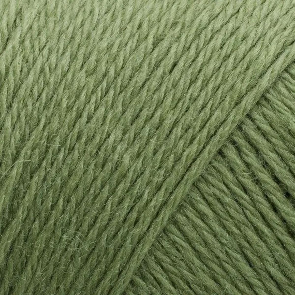 Arwetta - 243 Basswood Green